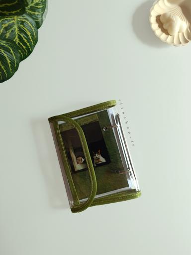 کلاسور شفاف پوشه ای سبز